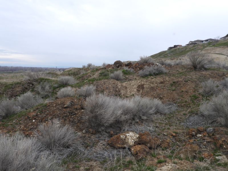 thumb_DSCN0595