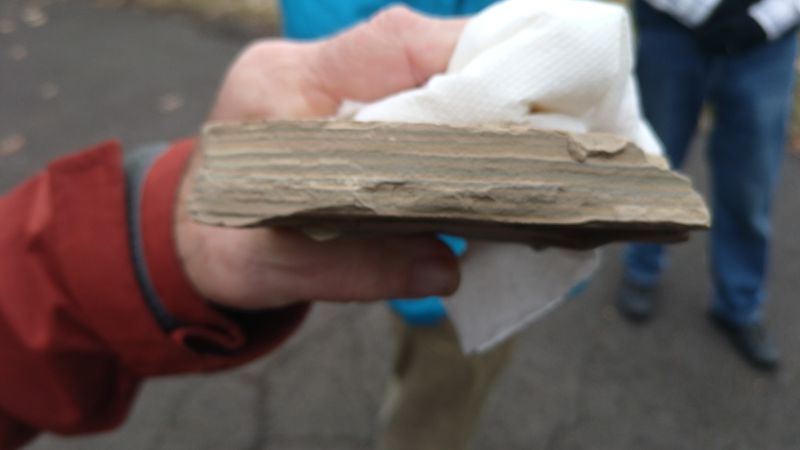 thumb_IMG_20230403_140637_600