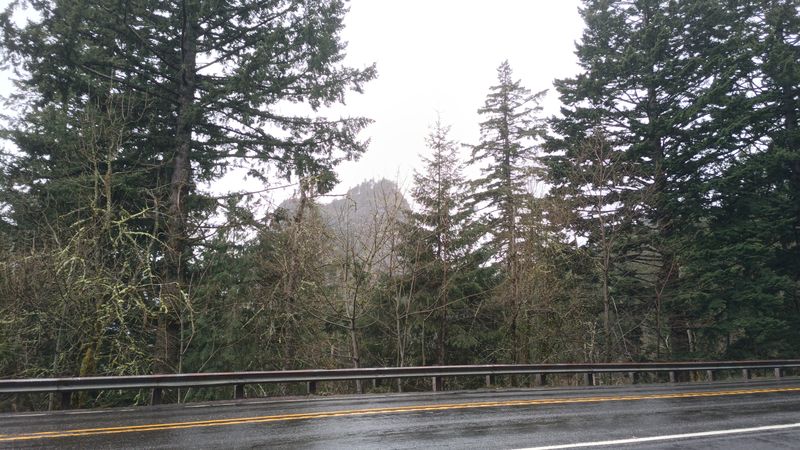 thumb_IMG_20230409_115835_200