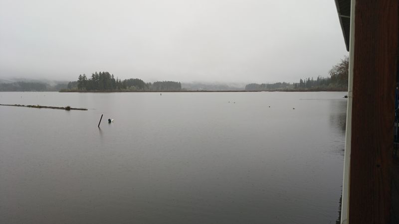 thumb_IMG_20230410_074348_692