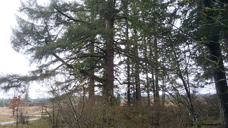 thumb_IMG_20230410_130732_053