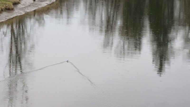 thumb_IMG_20230415_114713_954