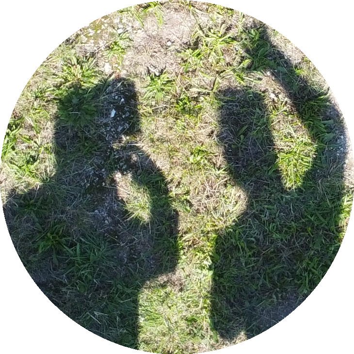 Shadow